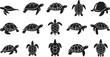 © MUHAMMAD - Set of black turtle silhouettes. Collection of vector tortoise icons shown in various poses and angles for graphic design elements