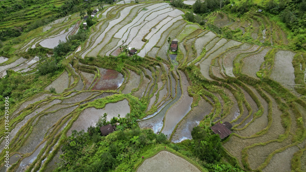 Batad Rice Terraces in Philippines Stock Photo | Adobe Stock