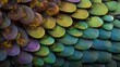© Kyryl - Vivid macro detail of butterfly wing showing colorful scales for nature and insect study