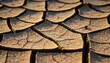 © Zikril - Cracked earth in a dry landscape, showing the effects of drought and climate change.