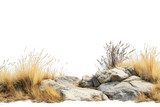 Dry golden grass and rough grey rocks on black background image