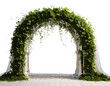 © ema - Minimalist Wedding Arch with Ivy – Side Perspective PNG