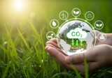 Hands holding globe with co two cloud and green energy icons in a grassy field on a sunny day
