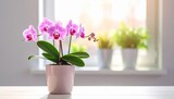 Pink floral bouquet in a glass vase on a window table is a spring nature decoration