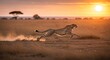 © Chatura - Cheetah mammal standing tall on the savannah in Masai Mara, Kenya, A powerful cheetah in full sprint across the golden savanna at sunrise, dust kicking up behind its feet, international cheetah day