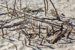 © Linas T - Beach sand straw and sticks natural composition from above.