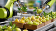 © M - Robotic arms harvesting fresh pears from conveyor, showcasing modern agricultural technology with green apples in crates