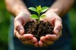 © Yuliya - Image of hands holding earth with plant. Earth Day. High quality photo