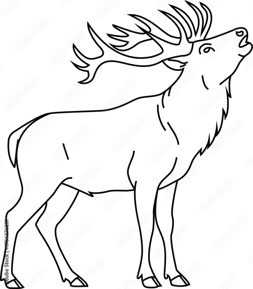 Majestic Deer Stag Line Art - Roaring Wildlife Illustration Stock ...