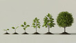 © Fahad - Six stages of tree growth, 3d render from sprout to mature round tree, plant evolution timeline, business investment progress, isolated background.