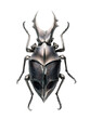 © Nurul - Detailed metallic beetle with large mandibles on black
