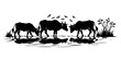 © Shakeela - Bulls drinking water riverbank. Cartoon Animal Clipart Silhouette Vector Illustration Line Art Illustration. Cattle ingest liquid waters edge brook grassland farm ... See More
