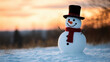 © Yanwei - Snowman Stock Photo Prompts