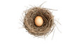 © PERFECTisME - A solitary brown egg nestled in a natural twig nest. set against a clean white background. symbolizing new beginnings and potential. ideal for themes of nature. growth. and life