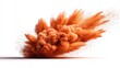 © Renderly - Orange powder explosion against a clean white background, dynamic and abstract