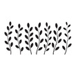 © MD. SHABUZ RAYHAN - Black silhouette of delicate branches with oval leaves on white background leaf