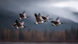 © SolaruS - Majestic geese in flight against an atmospheric backdrop. Perfect for conveying themes of migration, teamwork, freedom, or natures beauty. Inspiring and serene.