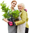 © Robert Kneschke - Young florist and senior gardener as a nursery team