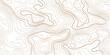 © AFROZAOPORNA - Topographic gold luxury map background. Geographic abstract pattern. The topo contour or wallpaper.White background with topographic wavy pattern design.