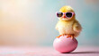 © Vadym - Fluffy yellow chick wearing pink sunglasses sits on pastel pink egg. Adorable newborn fowl has soft downy feathers and tiny orange legs. Springtime bird pose.