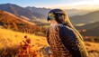 © Buru - Bird of prey perched, golden light bathes landscape