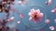 © Thares2020 - A single pink blossom and petals float gently on rippling water under a soft sky