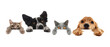 © New Africa - Cute cats and dogs peeking out of banner with paws on it. White background