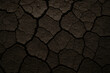 © Nabila - Close-up abstract texture of dry cracked earth surface in muted, dark earthy tones, representing drought and arid conditions