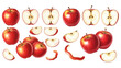© liana - Detailed illustrations of ripe red apples, including whole fruits, halves with seeds, and various slices.