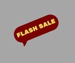 © MOIN - FLASH SALE - 1 FLASH SALE LOGO, FLASH SALE ICON. FLASH SALE DESIGN, FLASH SALE TITLE