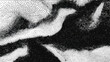 © Ageless Artistry - Abstract monochrome halftone pattern with organic flowing wave like shapes isolated on transparent background, Vector, illustration.