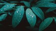 © JIALU - Macro close-up of fresh green leaves with natural veins and water drops symbolizing renewal, sustainability and eco lifestyle