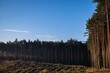 © Yevhenii - The beginning of a coniferous, dense forest