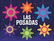 © Hriday - Colorful star shaped pi atas hanging against a starry night sky for las posadas
