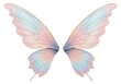 © Maria - Isolated fairy wings with iridescent colors, magical, elegant and enchanting fantasy element