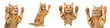 © mamo studios - Multiple dynamic poses of an adorable ginger tabby cat with expressive wide eyes and raised paws, playful and curious, isolated on transparent background.