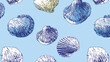 © Hmen - Patrón vectorial sin costuras de conchas marinas dibujadas a mano en tonos azules y blancos sobre fondo azul claro.