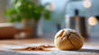 © Anastasiya Marchenko - Close-up of dough ball dusted with flour on wooden surface with blurred background and natural light