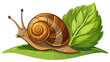 © williamnoah - Very beautiful snail crawling on a leaf, indoor pet care and natural habitat recreation, flat vector illustration style, isolated on white background, featuring detailed shell patterns, leafy textures
