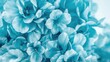 © Lasvu - Close-up of blue flowers with soft petals, showcasing natural beauty and delicate textures.