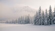 © Lasvu - Snow-covered forest with tall pine trees and a mountain range in the background, creating a winter landscape.