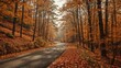 © Lasvu - Autumn forest landscape with a winding road through trees with fall foliage. Nature and seasonal change, scenic route, peaceful atmosphere.