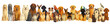 © hill - Adorable pets in a group.A group of cartoon design graphics unique banner.Various breeds of dogs and cats and parrots gather together, showcasing their friendly personalities