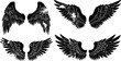 © hacero - Collection of black grunge angel wings and feather textures