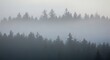 © Temblem - Serene Misty Evergreen Forest Landscape with Layered Pine Trees in Muted Tones, a Tranquil and Mysterious Nature Scene shrouded in Fog