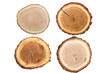 © RifahTasnia - Four tree trunk slices showcase natural wood grain patterns and textures ideal for rustic decor woodworking projects or educational resources about tree rings and forest ecology on transparent backgro