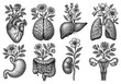 © 4Max - Vintage botanical engravings of human organs with flowers