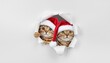 © MODERNARTWatChaRaWit - Festive cats in santa hats holiday home animal photography cozy interior playful perspective christmas spirit