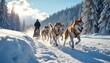 © Maryna - Husky dogs race pulling sled with musher and passenger. They run fast through snowy winter forest track. Bright sun shines on snow-covered trees and landscape. It is active outdoor adventure.