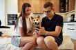© standret - Guy is holding smartphone. Man and woman are sitting at home with Shibu Inu dog